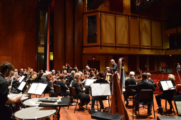 Orchestra from behind harp and timpani