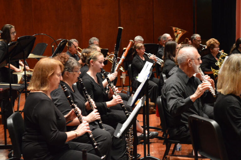 Focus on clarinets in Orchestra