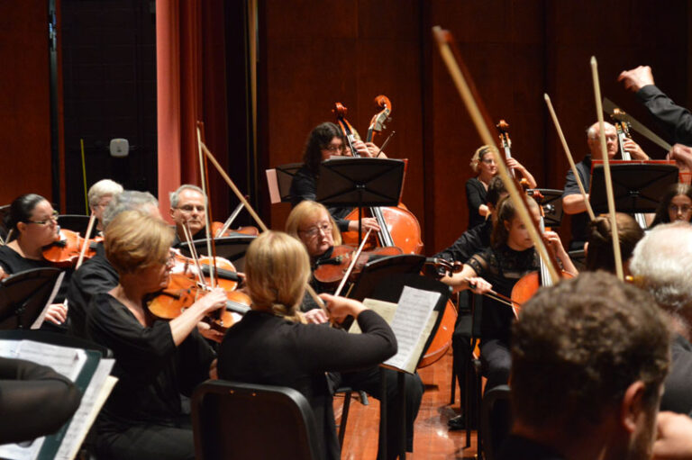 Violins, violas, and cellos in Orchestra