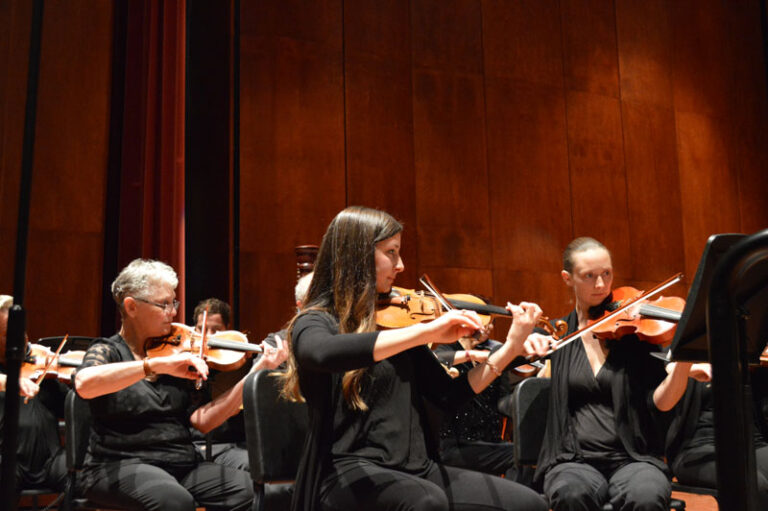 Violins and Violas in Orchestra