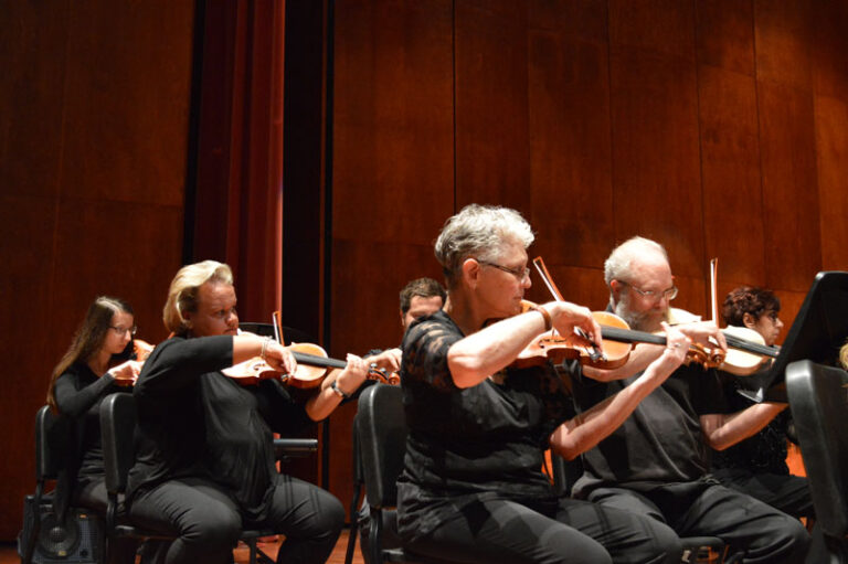 Violins and Violas in Orchestra