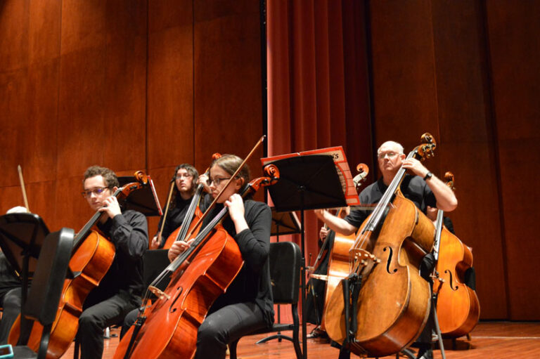 Double bass and cello in Orchestra