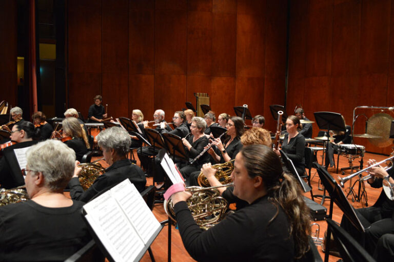 Focus on French horns in Orchestra