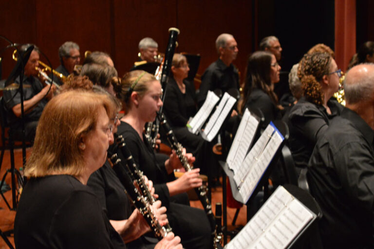 Focus on Clarinets in Orchestra