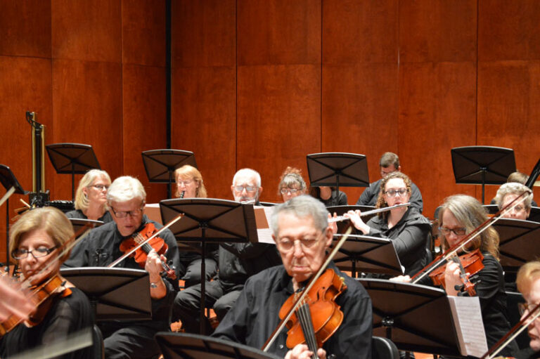 Focus on Violins and Flutes in Orchestra