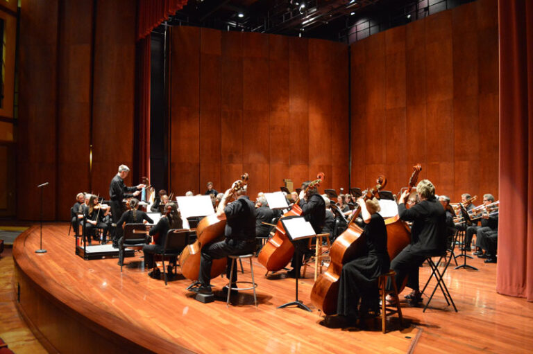 Focus on Double Basses in Orchestra