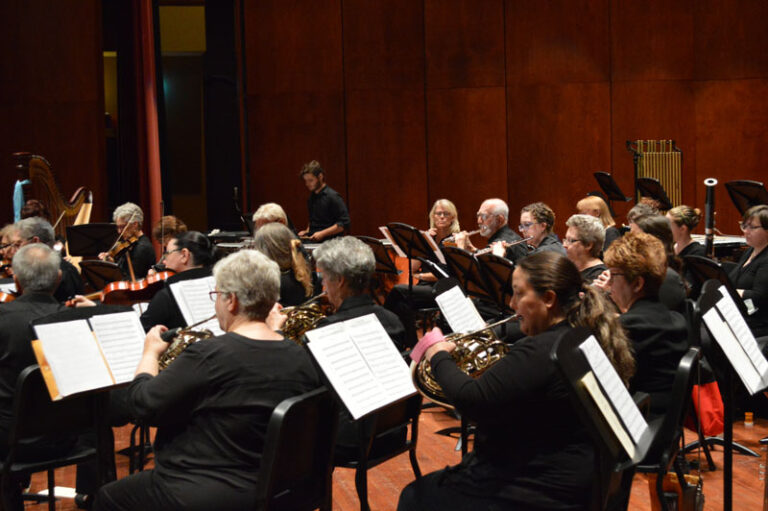 Focus on French Horns in Orchestra