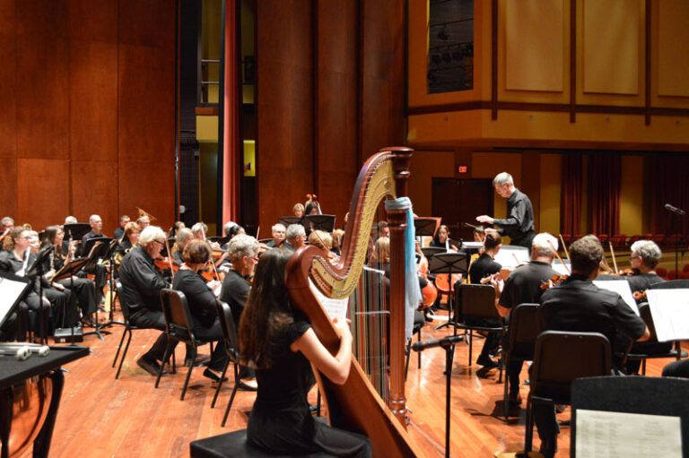 Focus on Harpist in Orchestra